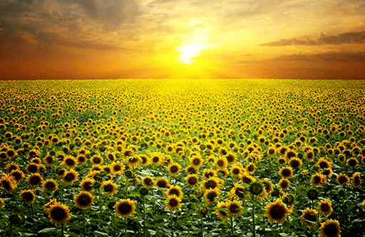 ÇORLU'da Gezilecek Yerler